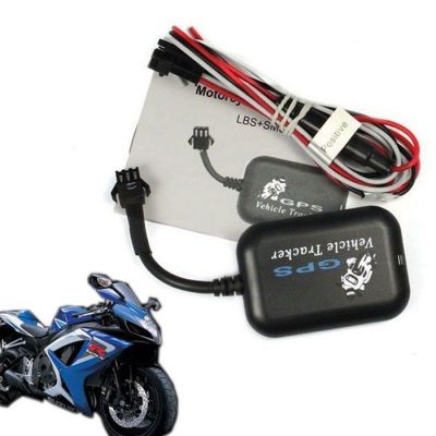 mua-thiet-bi-dinh-vi-tai-tinh-long-co-nhung-loai-nao-1